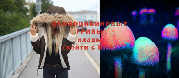 стафф Абдулино