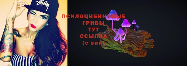 стафф Абдулино