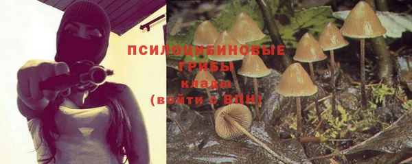 бутират Абинск