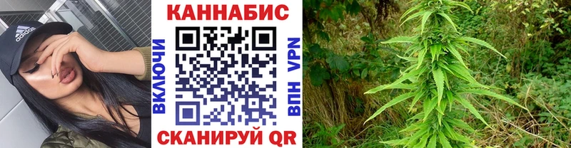 blacksprut зеркало  Железноводск  Каннабис планчик  как найти наркотики 